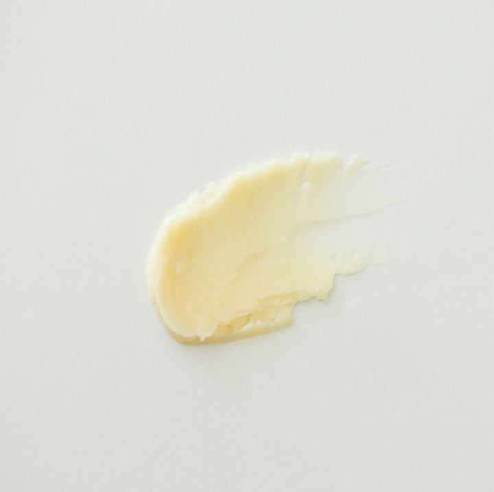 FACE JAM™ – Ultra Hydrating Tallow Salve with Lanolin & Rose Oil | Natural Alternative to Petroleum-Based Moisturizers | Deep Barrier Repair for Dry, Mature & Sensitive Skin